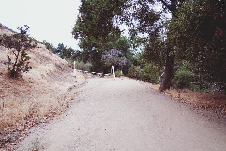 How to hike to the Hollywood sign 4 Postcards from Hawaii Travel Lifestyle Blog Gabriella Wisdom How to hike to the Hollywood Hills