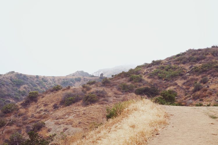 How to hike to the Hollywood sign 5 Postcards from Hawaii Travel Lifestyle Blog Gabriella Wisdom How to hike to the Hollywood Hills