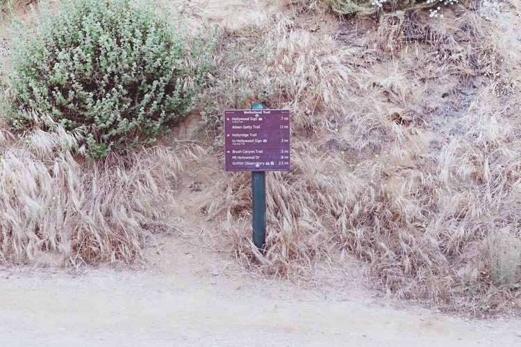 How to hike to the Hollywood sign 7 Postcards from Hawaii Travel Lifestyle Blog Gabriella Wisdom How to hike to the Hollywood Hills
