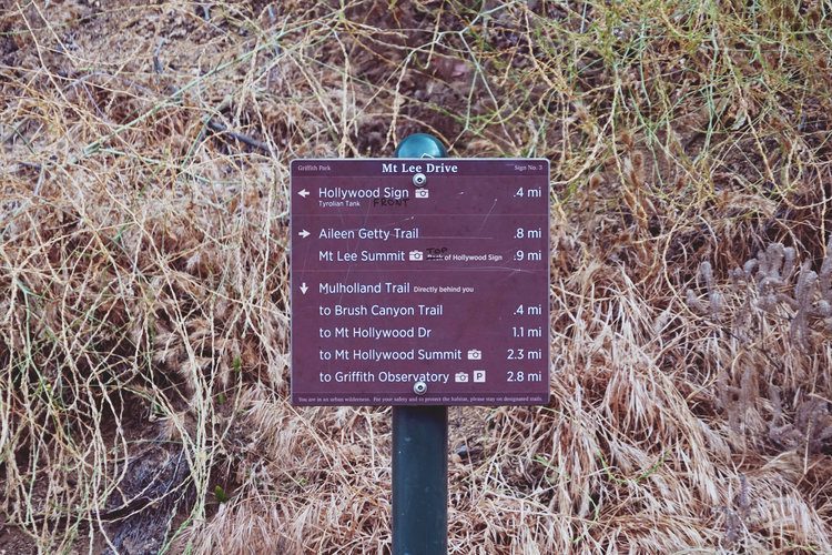 How to hike to the Hollywood sign 9 Postcards from Hawaii Travel Lifestyle Blog Gabriella Wisdom How to hike to the Hollywood Hills