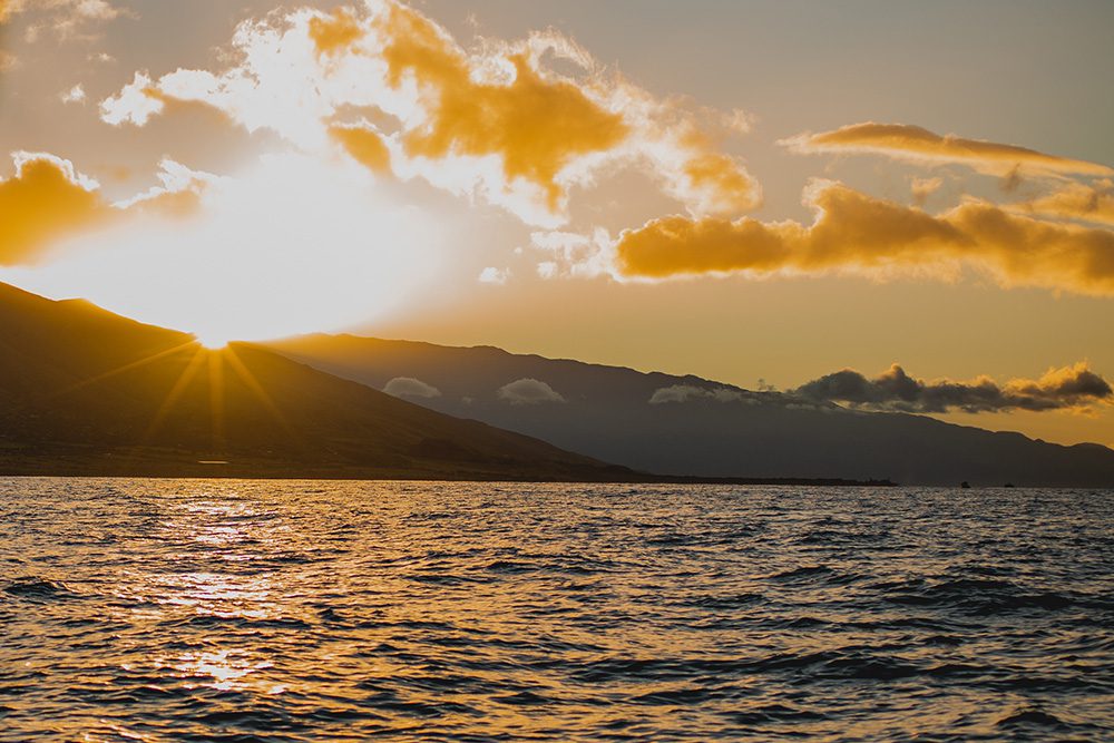 5 best things to do on Maui at sunrise 2 Postcards from Hawaii 5 best things to do on Maui at sunrise, sunrise Maui activities, Ultimate Whale Watching & Snorkel, Kai Kanani sunrise snorkelling, Haleakalā sunrise tickets, why the morning is better on Maui beach