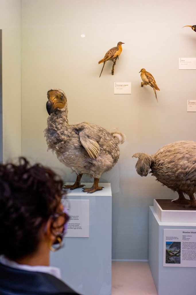 Top 10 free museums and galleries to visit in London 6 DSC03362