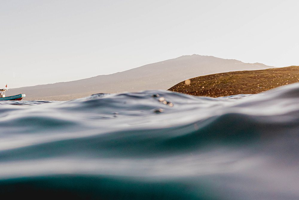 5 best things to do on Maui at sunrise 3 Postcards from Hawaii 5 best things to do on Maui at sunrise, sunrise Maui activities, Ultimate Whale Watching & Snorkel, Kai Kanani sunrise snorkelling, Haleakalā sunrise tickets, why the morning is better on Maui beach