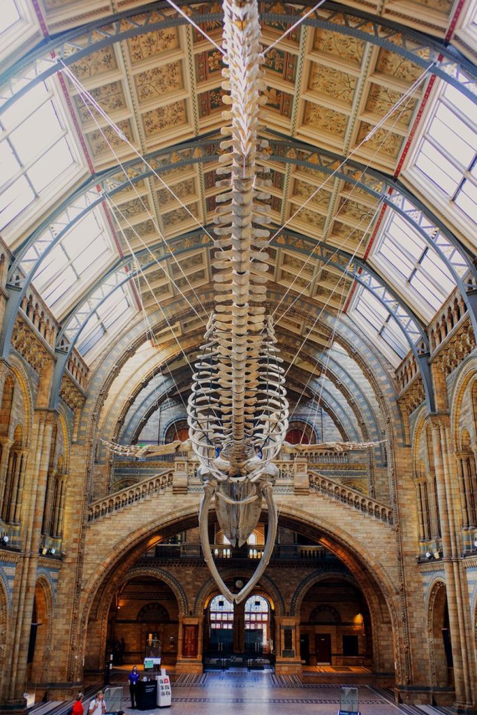 Top 10 free museums and galleries to visit in London 4 DSC03366