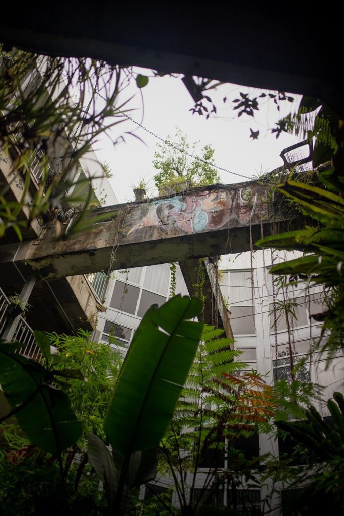 Things to do in Newtown & Enmore, Sydney Australia 4 Courtyard garden in The Urban Newtown hotel