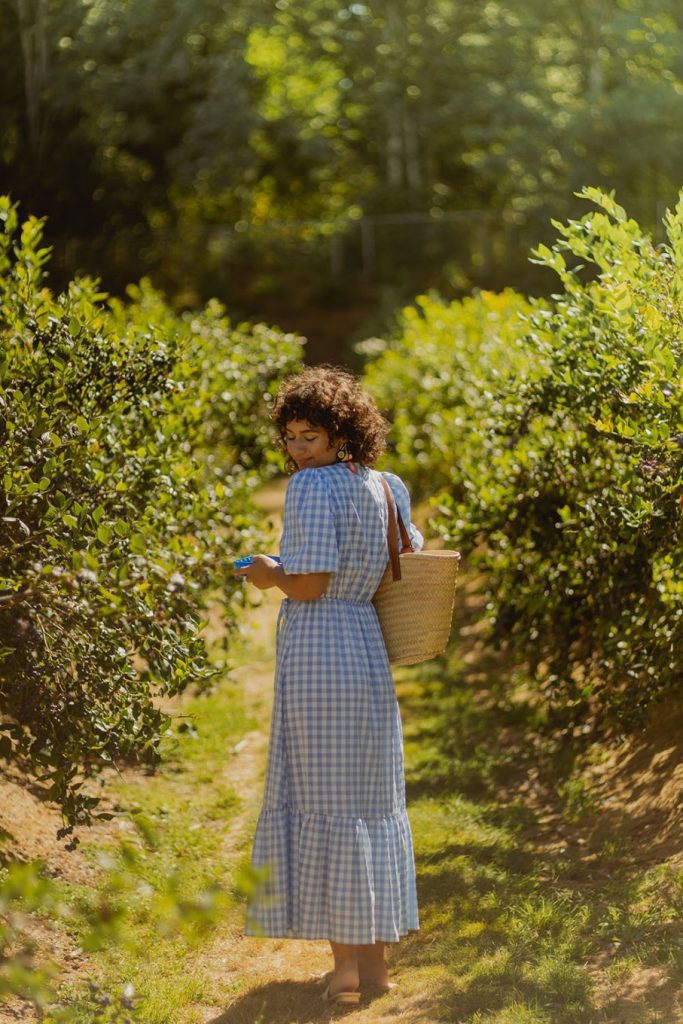 3 family-friendly farms in greater Vancouver with free gifts 4 3 family-friendly farms in greater Vancouver with free gifts Postcards from Hawaii Travel Lifestye Blog Lavenderland Richmond Country Farm Pumpkin Patch Krause Berry Farms