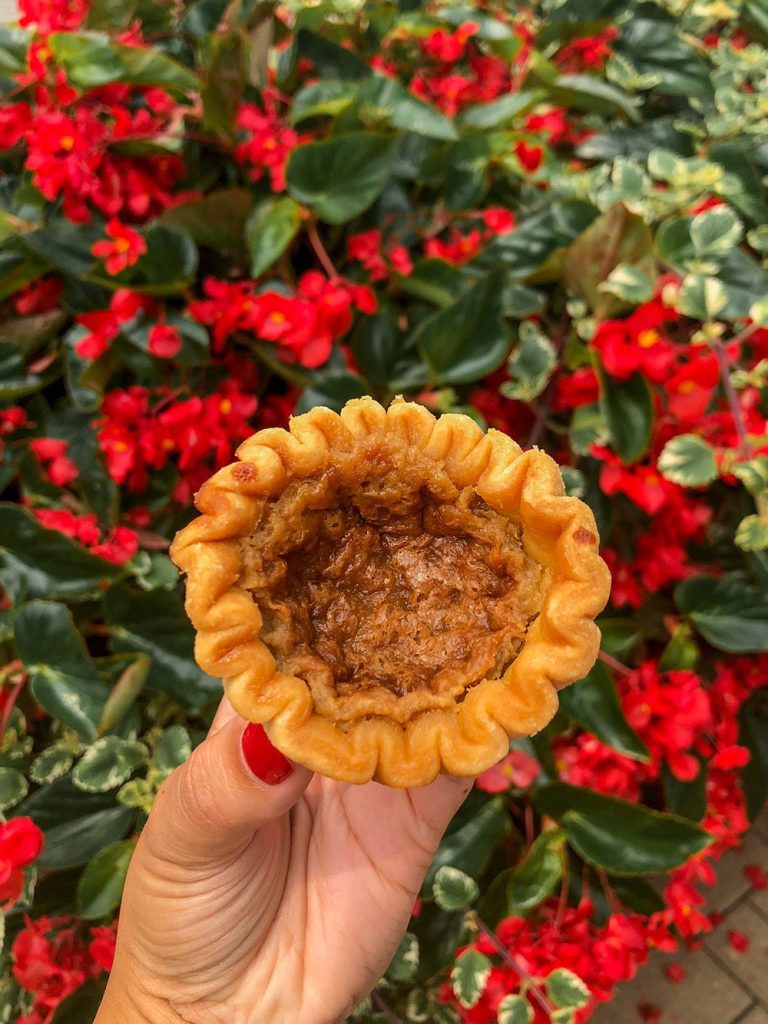 10 Canadian foods to try when you visit Canada 9 IMG 9903