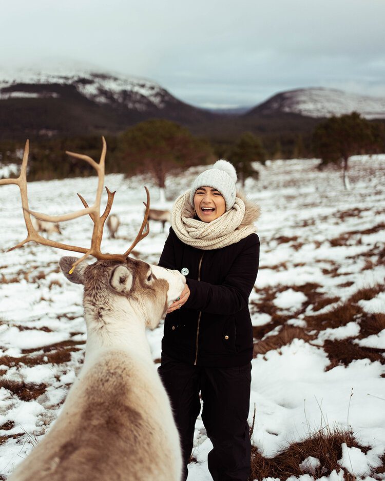 9 points of interest on a road trip in Scotland 7 PFHPostcardsfromHawaiiScotlandCairngormNationalParkReindeer