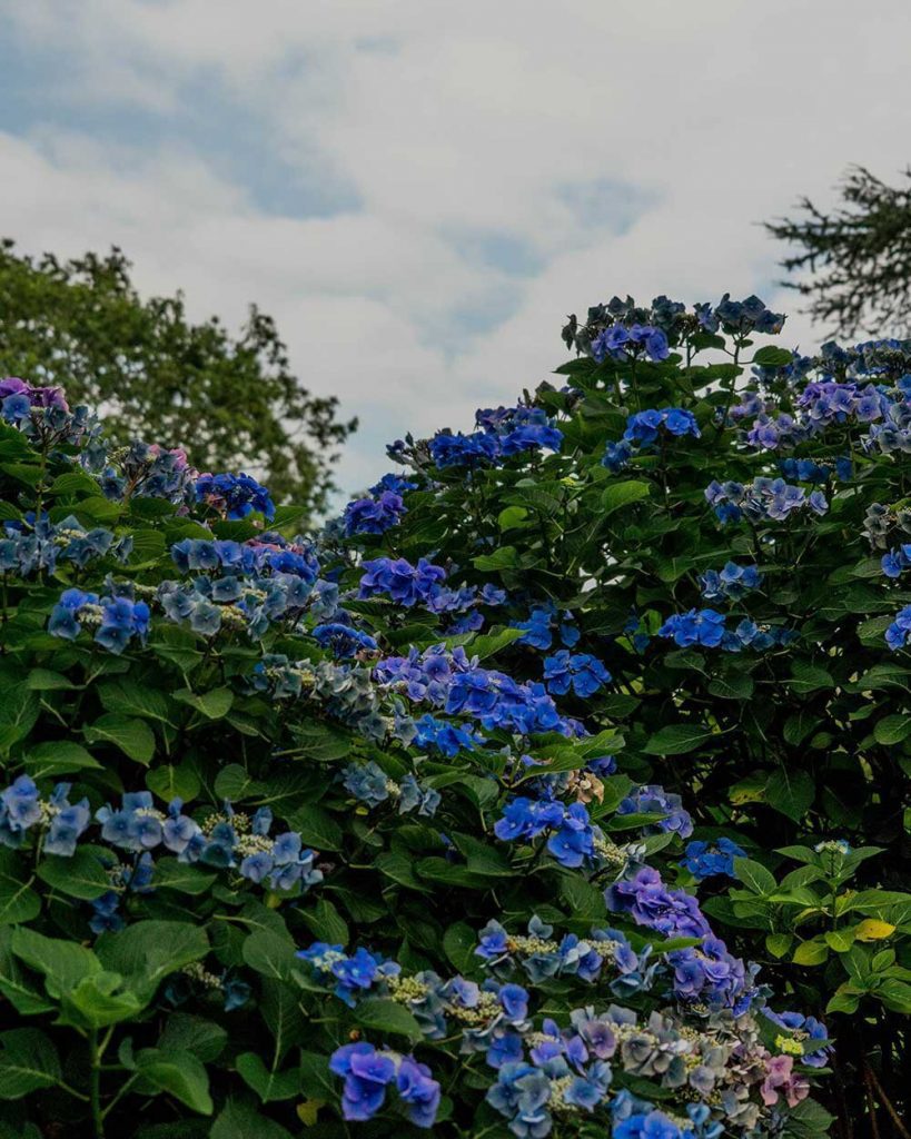 6 top things to do near the Gower Peninsula, Wales 18 PostcardsfromHawaiiTravelBlog6topthingstodoneartheGowerPeninsulaWalesUnitedKingdomRhossiliBay 17