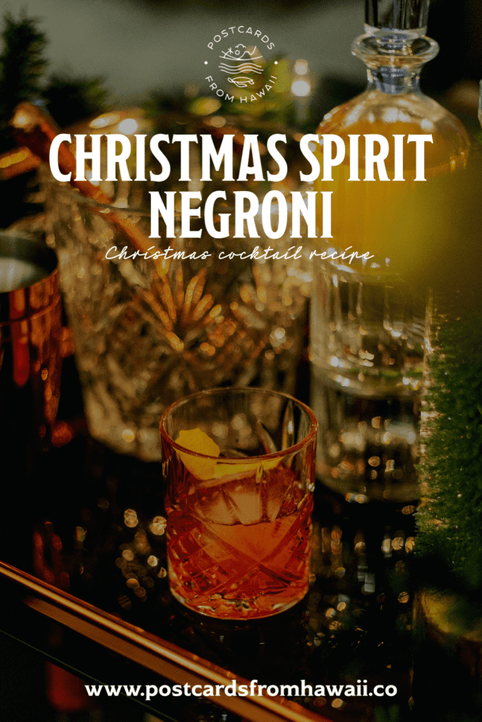 How to make Christmas flavoured gin infused with Christmas spices (with cocktail recipes) 9 06E9C409 4117 4BF0 A2DC 49D4124EA03C