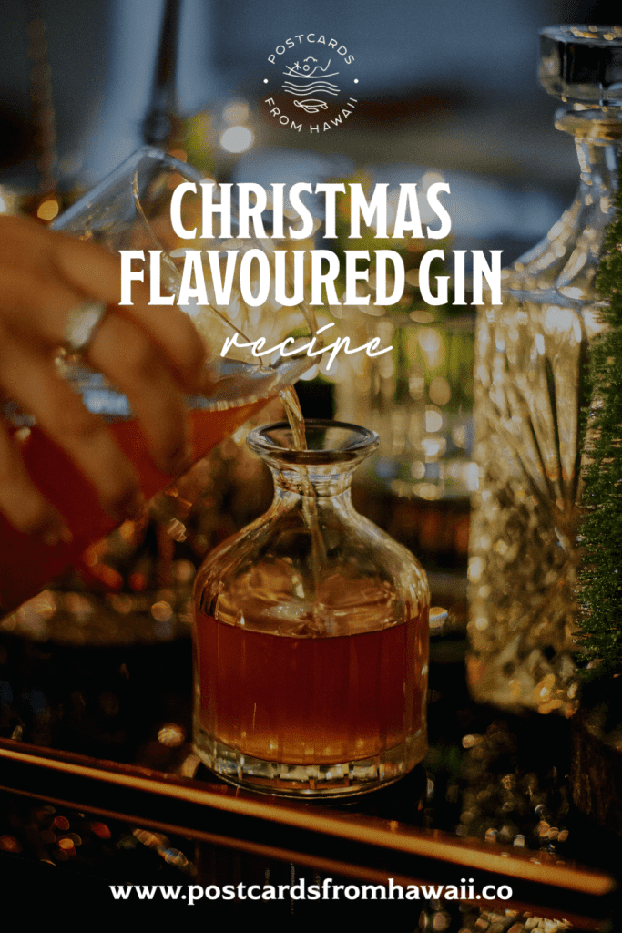 How to make Christmas flavoured gin infused with Christmas spices (with cocktail recipes) 11 C9044694 9231 43ED BEF8 D1504EE55062