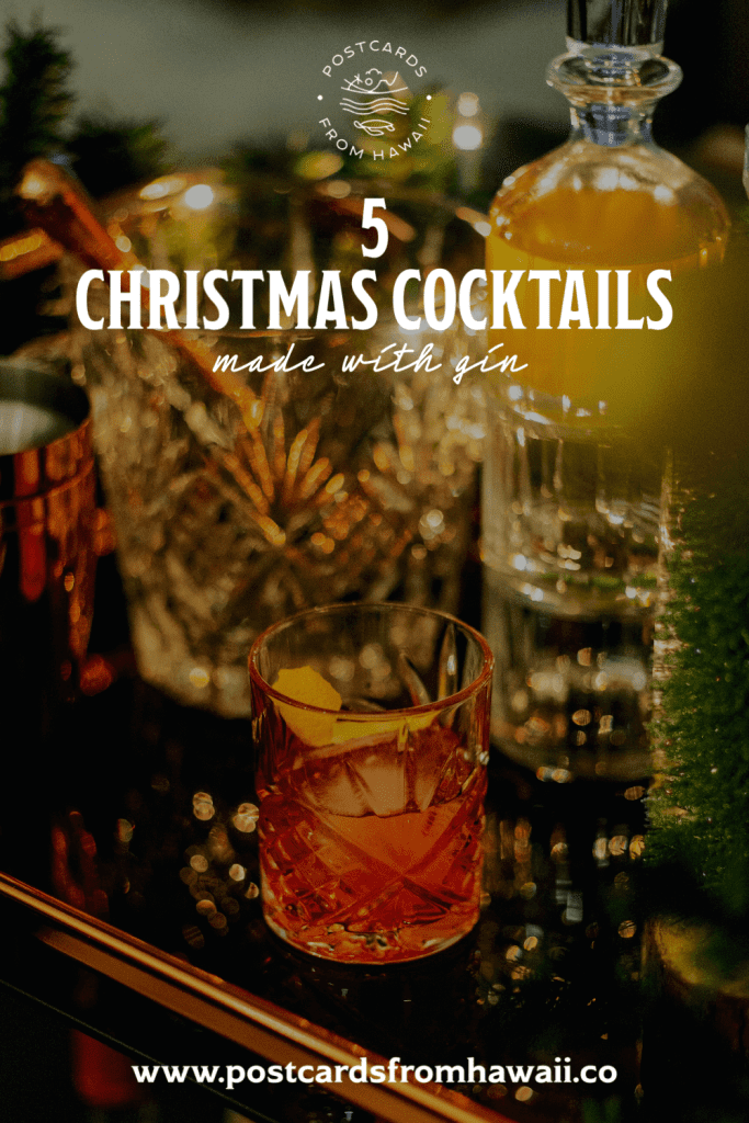 How to make Christmas flavoured gin infused with Christmas spices (with cocktail recipes) 13 D6A24C46 5751 4439 84E4 31F7F4BDFBC8
